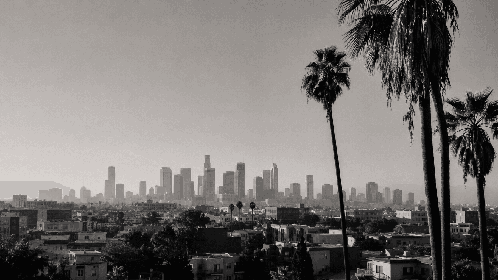 Downtown Los Angeles skyline with palm trees, in black and white